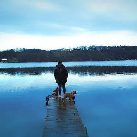 Strandhotel Vier Jahreszeiten Hotel Buckow
