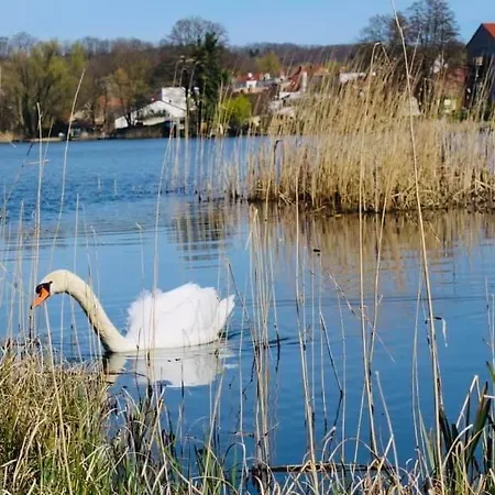 Strandhotel Vier Jahreszeiten Hotel 3*