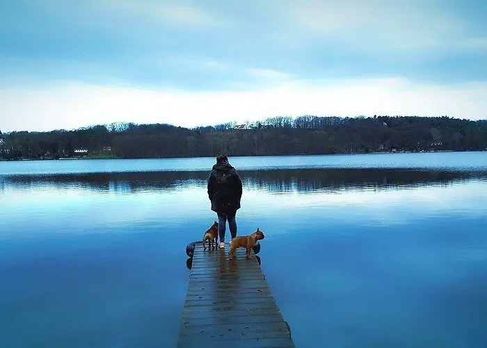 Strandhotel Vier Jahreszeiten Hotel Buckow
